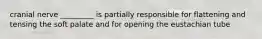 cranial nerve _________ is partially responsible for flattening and tensing the soft palate and for opening the eustachian tube