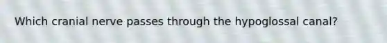 Which cranial nerve passes through the hypoglossal canal?