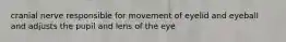 cranial nerve responsible for movement of eyelid and eyeball and adjusts the pupil and lens of the eye