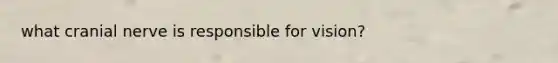 what cranial nerve is responsible for vision?