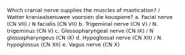 Which cranial nerve supplies the muscles of mastication? / Watter kraniaalsenuwee voorsien die kouspiere? a. Facial nerve (CN VII) / N facialis (CN VII) b. Trigeminal nerve (CN V) / N. trigeminus (CN V) c. Glossopharyngeal nerve (CN IX) / N glossopharyngeus (CN IX) d. Hypoglossal nerve (CN XII) / N. hypoglossus (CN XII) e. Vagus nerve (CN X)