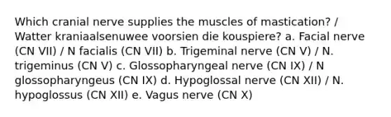 Which cranial nerve supplies the muscles of mastication? / Watter kraniaalsenuwee voorsien die kouspiere? a. Facial nerve (CN VII) / N facialis (CN VII) b. Trigeminal nerve (CN V) / N. trigeminus (CN V) c. Glossopharyngeal nerve (CN IX) / N glossopharyngeus (CN IX) d. Hypoglossal nerve (CN XII) / N. hypoglossus (CN XII) e. Vagus nerve (CN X)