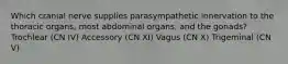 Which cranial nerve supplies parasympathetic innervation to the thoracic organs, most abdominal organs, and the gonads? Trochlear (CN IV) Accessory (CN XI) Vagus (CN X) Trigeminal (CN V)