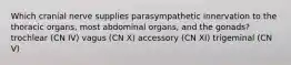 Which cranial nerve supplies parasympathetic innervation to the thoracic organs, most abdominal organs, and the gonads? trochlear (CN IV) vagus (CN X) accessory (CN XI) trigeminal (CN V)