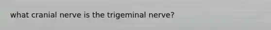 what cranial nerve is the trigeminal nerve?