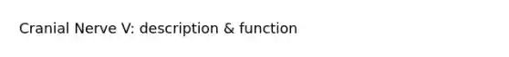 Cranial Nerve V: description & function