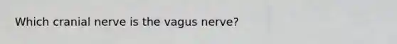 Which cranial nerve is the vagus nerve?