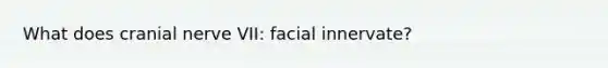 What does cranial nerve VII: facial innervate?