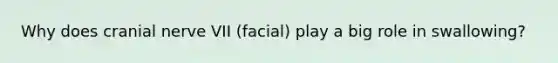 Why does cranial nerve VII (facial) play a big role in swallowing?