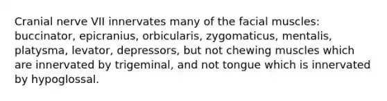 Cranial nerve VII innervates many of the facial muscles: buccinator, epicranius, orbicularis, zygomaticus, mentalis, platysma, levator, depressors, but not chewing muscles which are innervated by trigeminal, and not tongue which is innervated by hypoglossal.