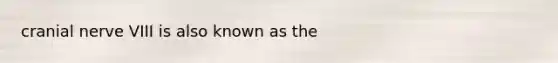 cranial nerve VIII is also known as the