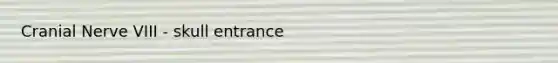 Cranial Nerve VIII - skull entrance