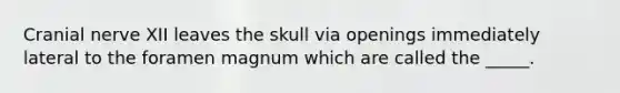 Cranial nerve XII leaves the skull via openings immediately lateral to the foramen magnum which are called the _____.