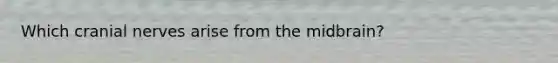 Which cranial nerves arise from the midbrain?