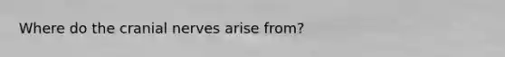 Where do the cranial nerves arise from?