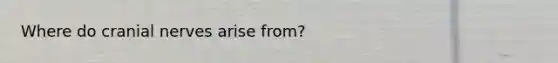 Where do cranial nerves arise from?