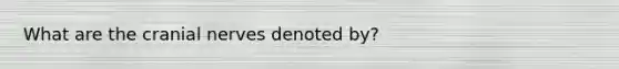 What are the cranial nerves denoted by?