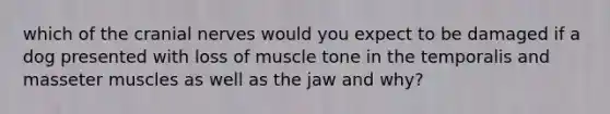 which of the cranial nerves would you expect to be damaged if a dog presented with loss of muscle tone in the temporalis and masseter muscles as well as the jaw and why?