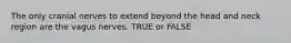 The only cranial nerves to extend beyond the head and neck region are the vagus nerves. TRUE or FALSE