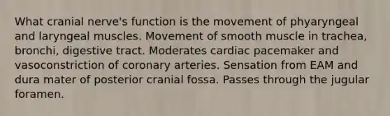 What cranial nerve's function is the movement of phyaryngeal and laryngeal muscles. Movement of smooth muscle in trachea, bronchi, digestive tract. Moderates cardiac pacemaker and vasoconstriction of coronary arteries. Sensation from EAM and dura mater of posterior cranial fossa. Passes through the jugular foramen.