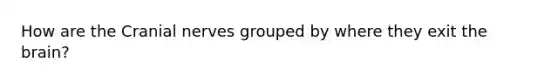 How are the <a href='https://www.questionai.com/knowledge/kE0S4sPl98-cranial-nerves' class='anchor-knowledge'>cranial nerves</a> grouped by where they exit <a href='https://www.questionai.com/knowledge/kLMtJeqKp6-the-brain' class='anchor-knowledge'>the brain</a>?