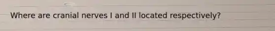 Where are cranial nerves I and II located respectively?