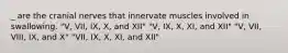 _ are the cranial nerves that innervate muscles involved in swallowing. "V, VII, IX, X, and XII" "V, IX, X, XI, and XII" "V, VII, VIII, IX, and X" "VII, IX, X, XI, and XII"