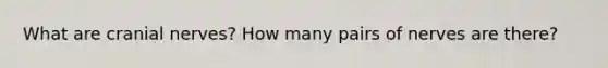 What are cranial nerves? How many pairs of nerves are there?