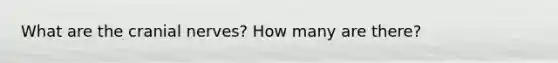 What are the cranial nerves? How many are there?