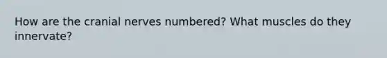 How are the cranial nerves numbered? What muscles do they innervate?