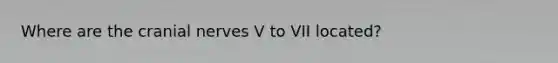 Where are the cranial nerves V to VII located?