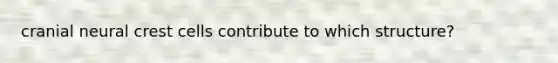 cranial neural crest cells contribute to which structure?