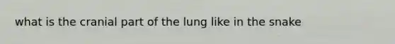 what is the cranial part of the lung like in the snake