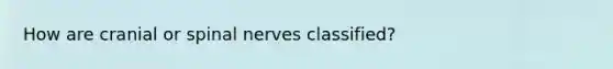 How are cranial or spinal nerves classified?