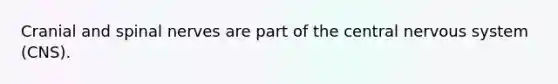Cranial and spinal nerves are part of the central nervous system (CNS).