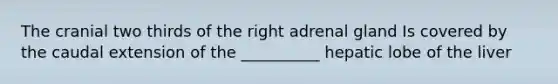 The cranial two thirds of the right adrenal gland Is covered by the caudal extension of the __________ hepatic lobe of the liver