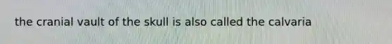 the cranial vault of the skull is also called the calvaria