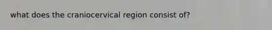 what does the craniocervical region consist of?