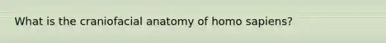 What is the craniofacial anatomy of homo sapiens?