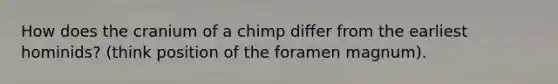 How does the cranium of a chimp differ from the earliest hominids? (think position of the foramen magnum).