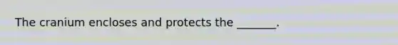 The cranium encloses and protects the _______.