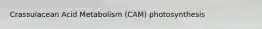 Crassulacean Acid Metabolism (CAM) photosynthesis