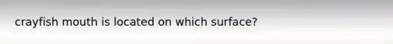 crayfish mouth is located on which surface?