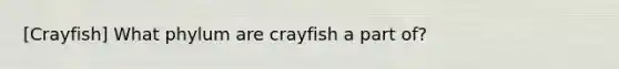 [Crayfish] What phylum are crayfish a part of?