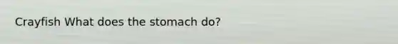 Crayfish What does the stomach do?
