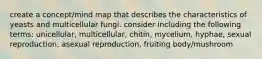 create a concept/mind map that describes the characteristics of yeasts and multicellular fungi. consider including the following terms: unicellular, multicellular, chitin, mycelium, hyphae, sexual reproduction, asexual reproduction, fruiting body/mushroom