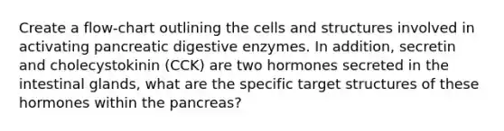 Create a flow-chart outlining the cells and structures involved in activating pancreatic digestive enzymes. In addition, secretin and cholecystokinin (CCK) are two hormones secreted in the intestinal glands, what are the specific target structures of these hormones within the pancreas?