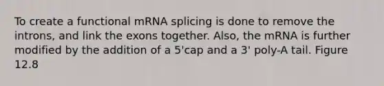 To create a functional mRNA splicing is done to remove the introns, and link the exons together. Also, the mRNA is further modified by the addition of a 5'cap and a 3' poly-A tail. Figure 12.8