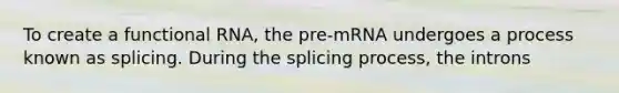 To create a functional RNA, the pre-mRNA undergoes a process known as splicing. During the splicing process, the introns