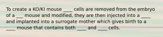 To create a KO/KI mouse ____ cells are removed from the embryo of a ___ mouse and modified, they are then injected into a ____ and implanted into a surrogate mother which gives birth to a ____ mouse that contains both ____ and ____ cells.